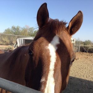 Meet your Posher, Angie